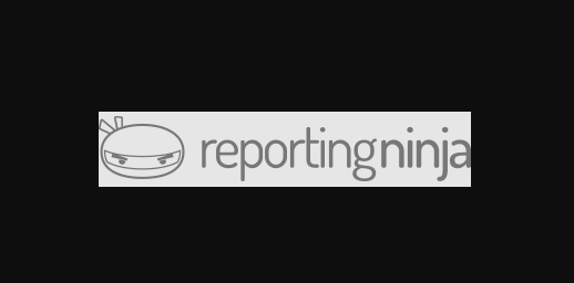 Reporting Ninja Reviews, Pricing & Features 2022